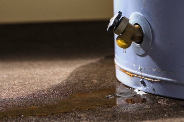 Best Carpet water damage restoration  in Quakertown, PA