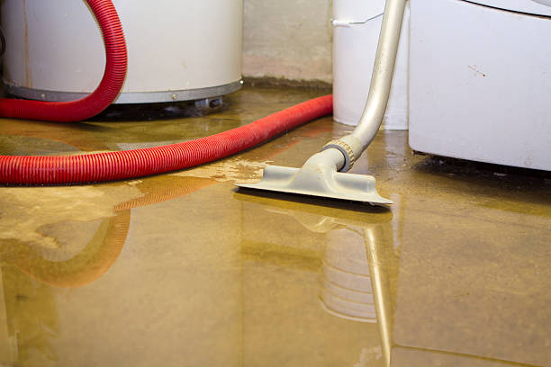 Best Local water damage restoration  in Quakertown, PA
