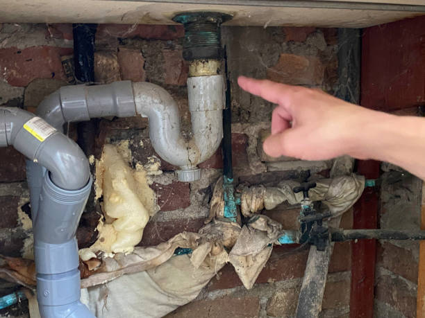Best Water damage contractors near me  in Quakertown, PA