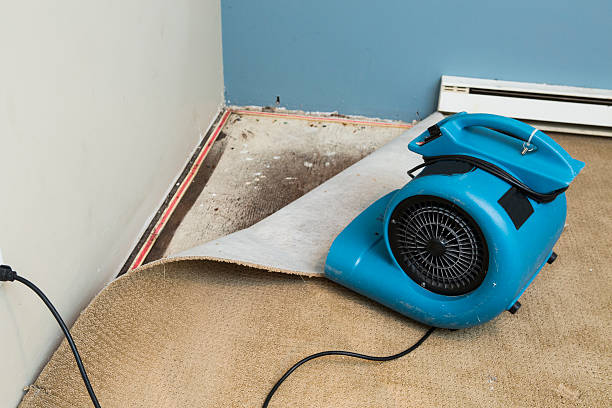 Best Fire Damage Restoration  in Quakertown, PA